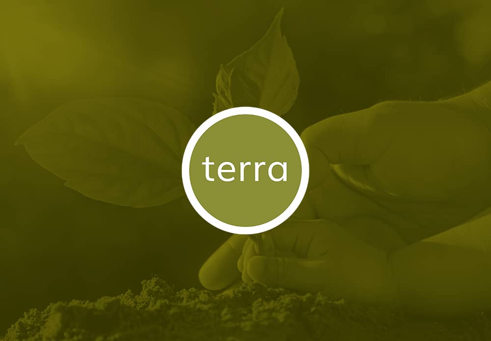 Coming Soon: Canada’s First Carbon Neutral Condominium